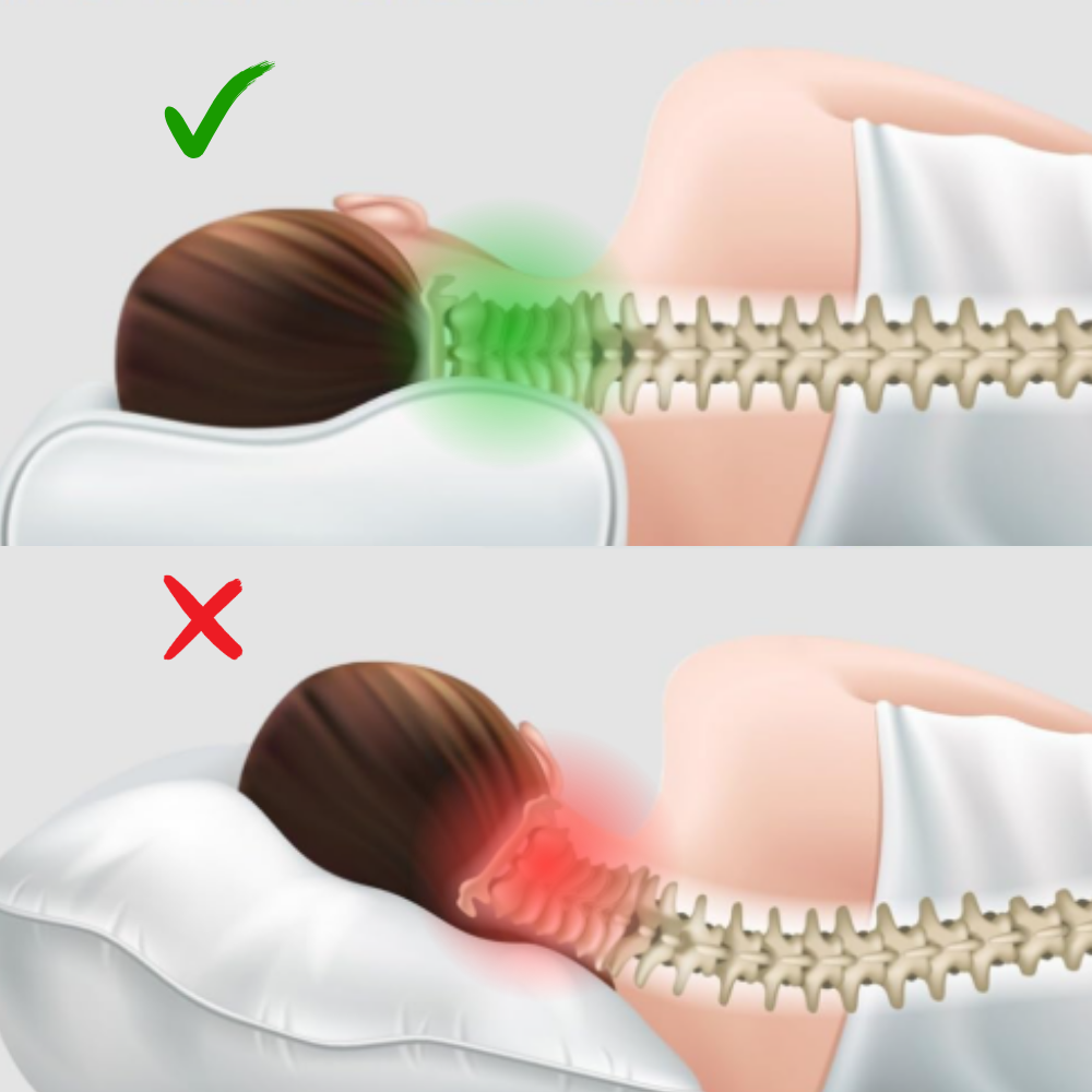 Harmony™  - כרית התמיכה האולטימטיבית